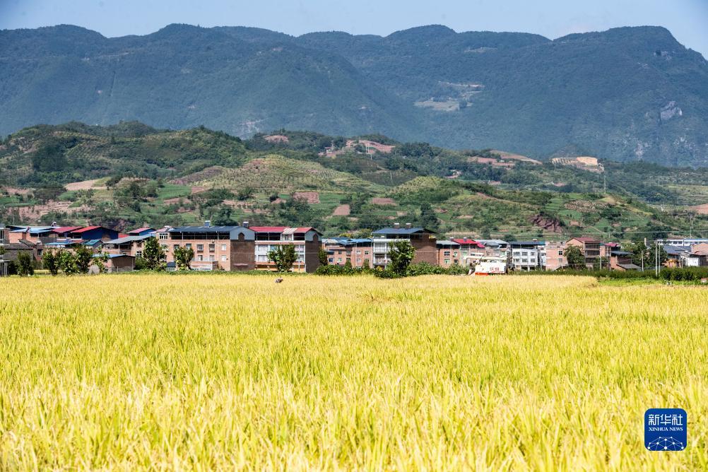 线上打鱼提现